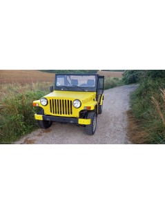 JEEP DALLAS GRANDIN DE 1990