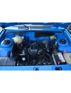 PEUGEOT 104 ZS 72HP DE 1981