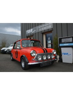 ROVER MINI SPÉCIAL DE 1984