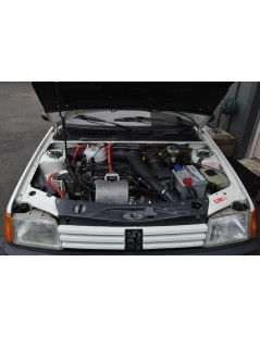 PEUGEOT 205 GTI 1.6L DE 1991