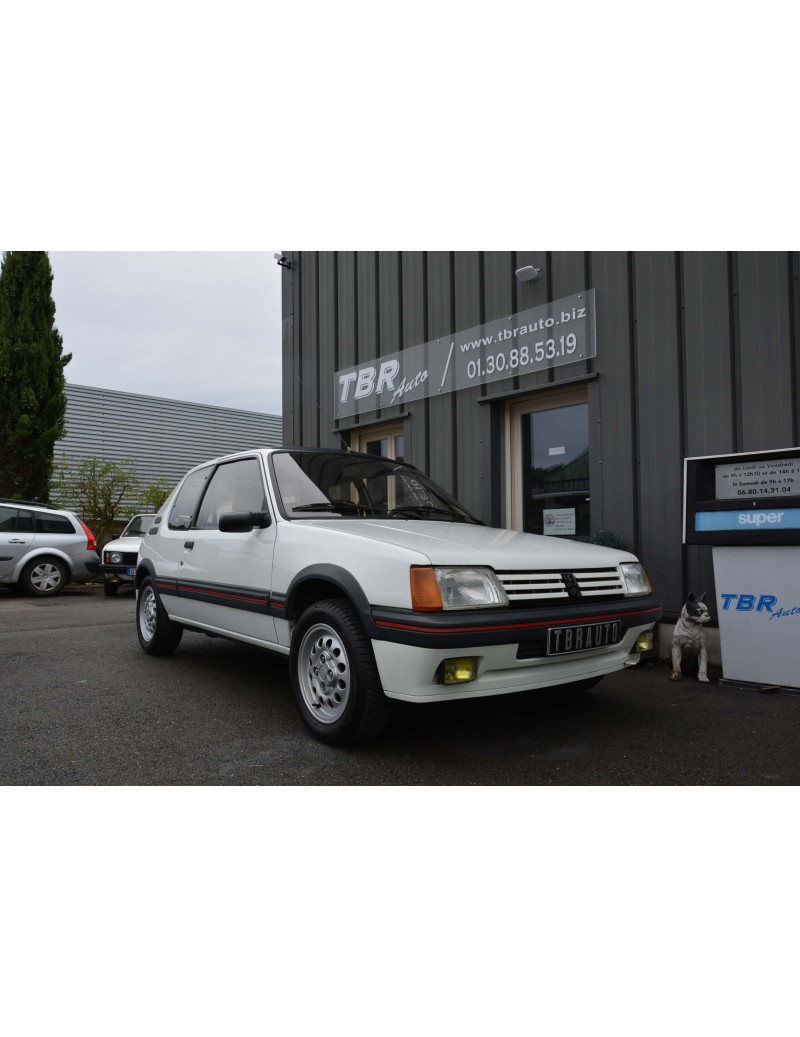 PEUGEOT 205 GTI 1.6L DE 1991