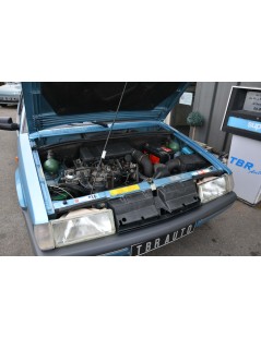CITROEN BX 19 TZD DE 1990