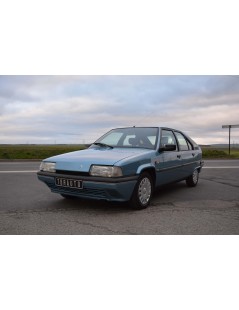 CITROEN BX 19 TZD DE 1990
