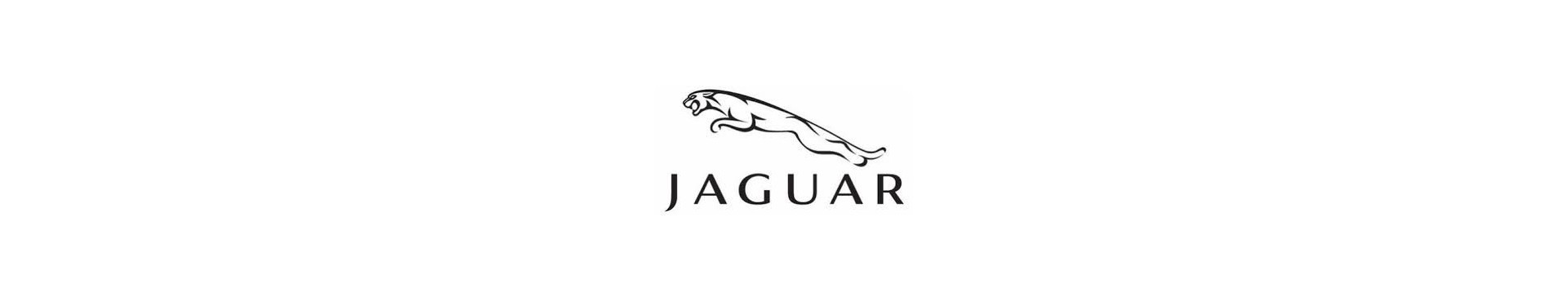 Pour Jaguar